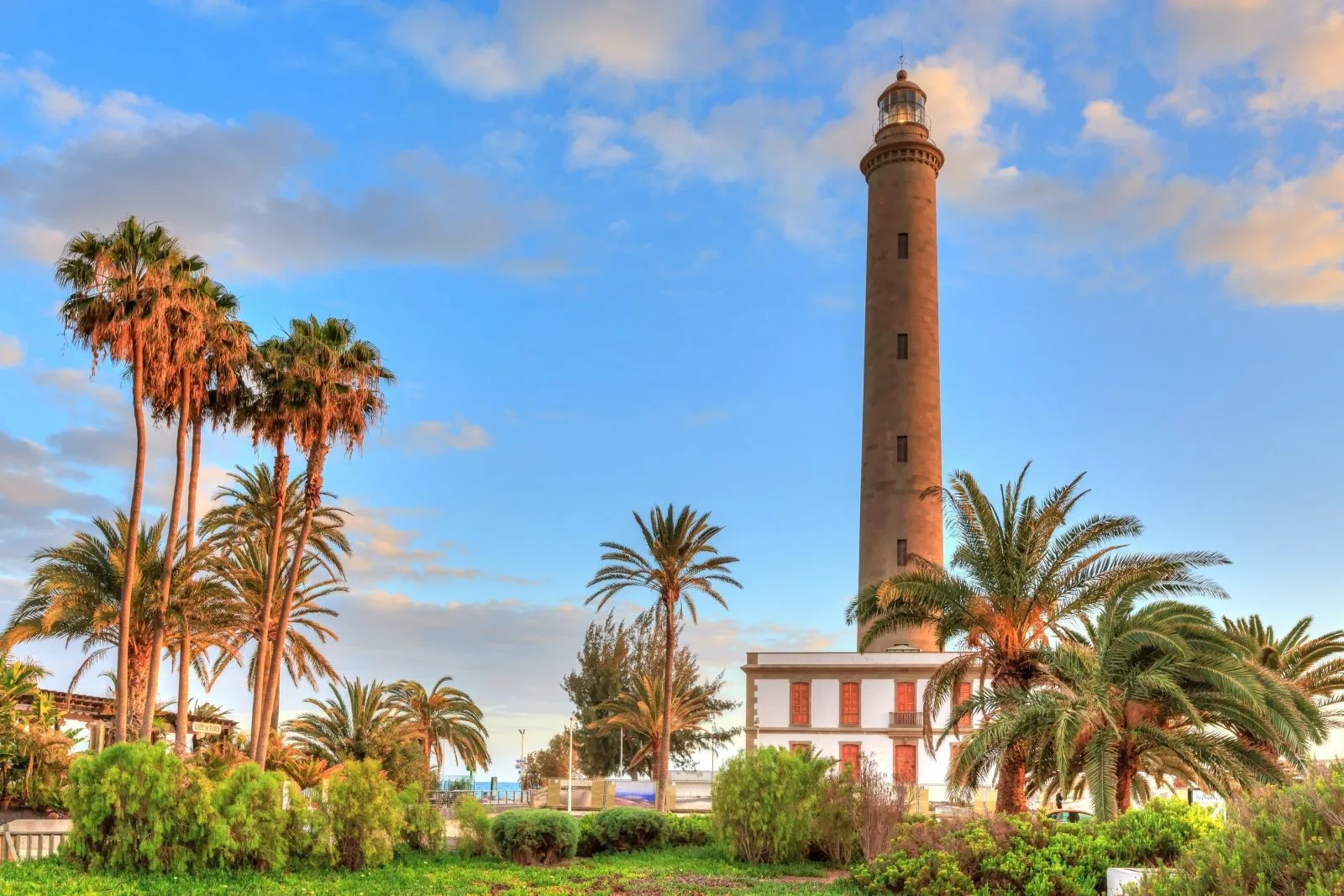 El Faro de Maspalomas entre las palmeras