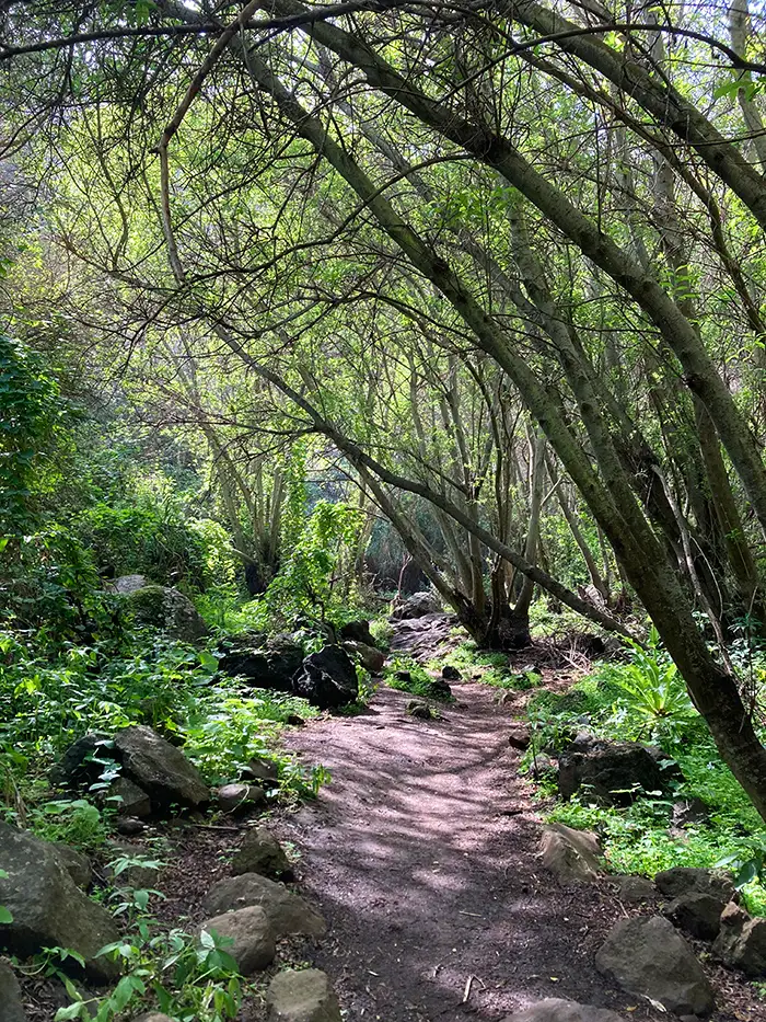 Barranco de los Cernícalos